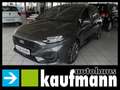 Ford Fiesta FIESTA 1,0 ST-LINE SHZ 7-AUTOMATIK LED PDC APP Szürke - thumbnail 1