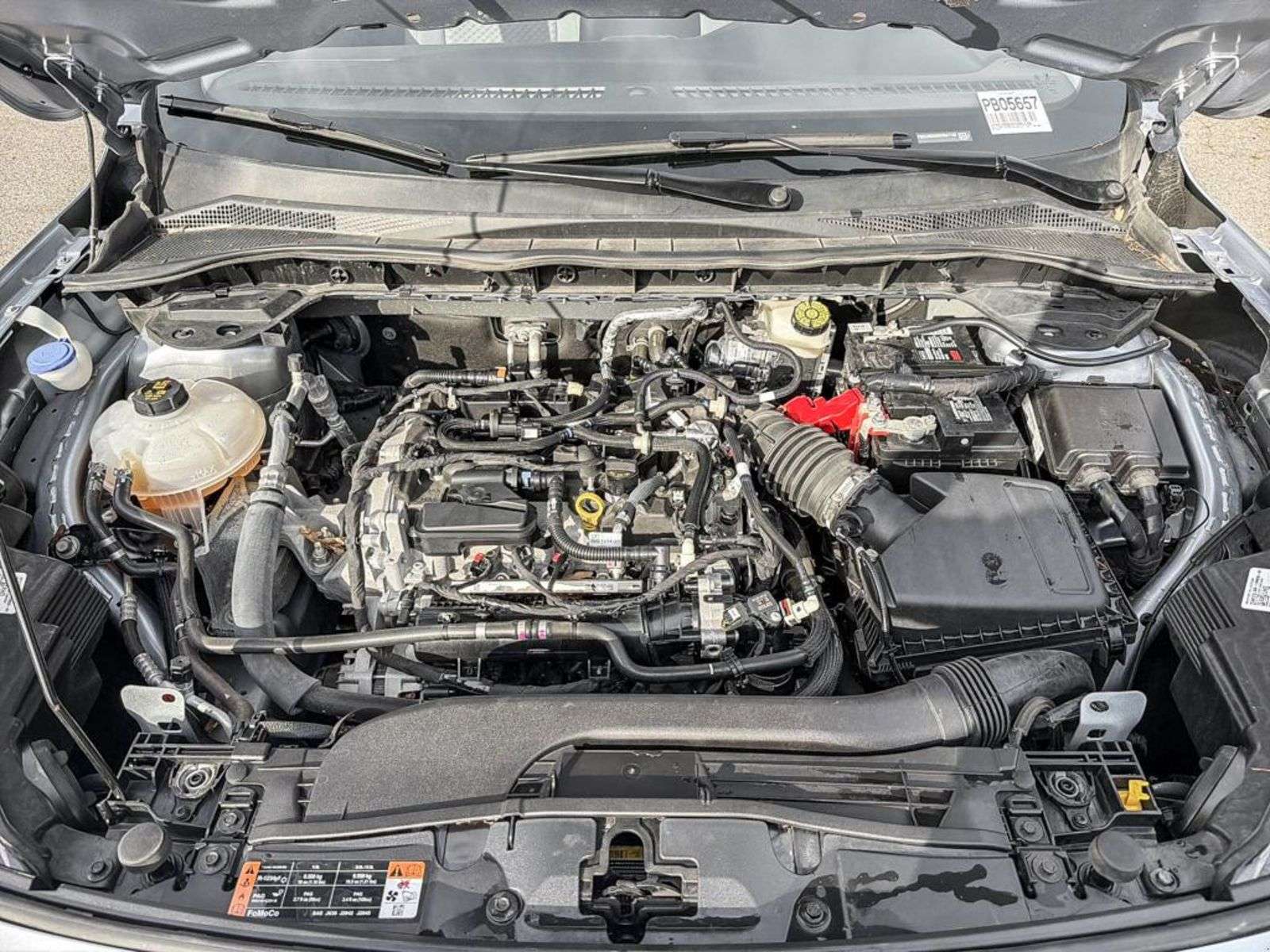 Image 9