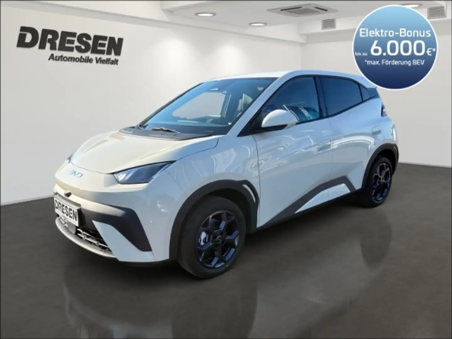 BYD Dolphin Comfort/LED/360 Kamera/Navi/Sitzheizung/Fernlichta Weiß - 1