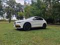 Alfa Romeo Stelvio Stelvio 2.2d Super Wit - thumbnail 5