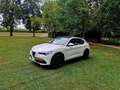 Alfa Romeo Stelvio Stelvio 2.2d Super Wit - thumbnail 4