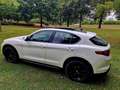 Alfa Romeo Stelvio Stelvio 2.2d Super Wit - thumbnail 3