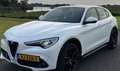 Alfa Romeo Stelvio Stelvio 2.2d Super Wit - thumbnail 8