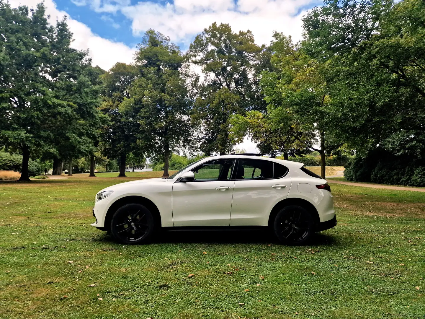 Alfa Romeo Stelvio Stelvio 2.2d Super Wit - 2