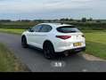 Alfa Romeo Stelvio Stelvio 2.2d Super Wit - thumbnail 12