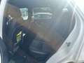 Land Rover Discovery Sport 2.0 td4 SE awd 180cv auto my18 - FM722VC Bianco - thumbnail 12