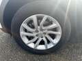 Land Rover Discovery Sport 2.0 td4 SE awd 180cv auto my18 - FM722VC Bianco - thumbnail 5