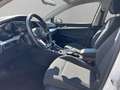 Volkswagen Golf Life 1,5 TSI ACT Weiß - thumbnail 9