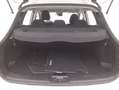 Nissan Qashqai Business DCT 1.5 Diesel 116CV Weiß - thumbnail 14