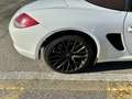 Porsche Boxster 987 2.9 MKII Facelift Bianco - thumbnail 9