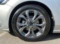 Ford Focus 5 Porte 1.5 EcoBlue ST-Line Argento - thumbnail 9