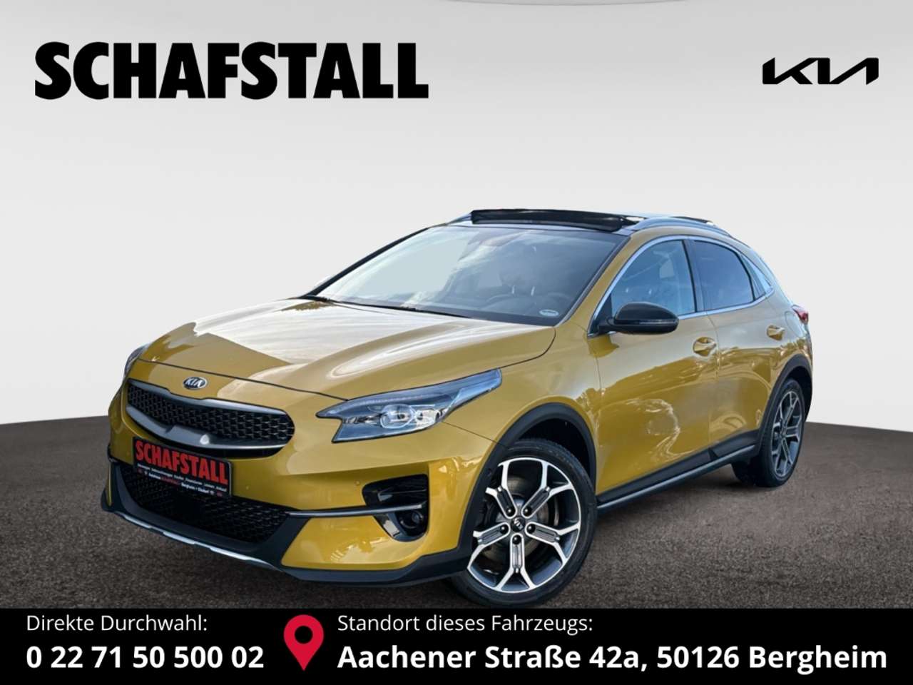 Kia XCeed — Kia XCeed Platinum PANORAMA JBL-SOUND ALLWETTERREIFEN