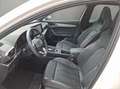 CUPRA Formentor . Blanc - thumbnail 9