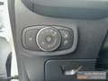 Ford Fiesta Trend Winterpaket Allwetterreifen Bluetooth Blanc - thumbnail 10