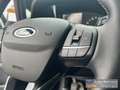 Ford Fiesta Trend Winterpaket Allwetterreifen Bluetooth Blanc - thumbnail 14