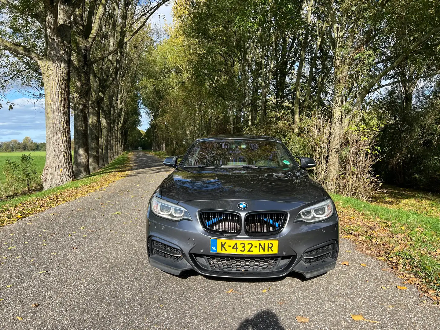 BMW 235 BMW M235i xDrive High Executive Gri - 2