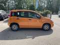 Fiat Panda 1.0 FireFly S&S Hybrid NEOPATENTATI Orange - thumbnail 11