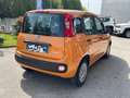 Fiat Panda 1.0 FireFly S&S Hybrid NEOPATENTATI Orange - thumbnail 2