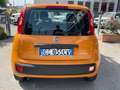 Fiat Panda 1.0 FireFly S&S Hybrid NEOPATENTATI Orange - thumbnail 12