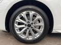 Audi A4 40 TDI advanced S tronic Navi Sitzhzg Weiß - thumbnail 16