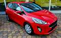 Ford Fiesta *Winterpaket *Tempomat *Parksensoren Rot - thumbnail 2