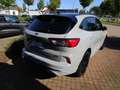 Ford Kuga 2.5 Duratec PHEV GRAPHITE TECH EDITION/AHK/LED Grau - thumbnail 3
