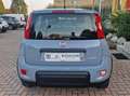 Fiat Panda 1.0 hybrid Easy Iva Deducibile Gris - thumbnail 1