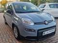 Fiat Panda 1.0 hybrid Easy Iva Deducibile Gris - thumbnail 3