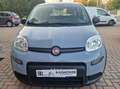 Fiat Panda 1.0 hybrid Easy Iva Deducibile Gris - thumbnail 6