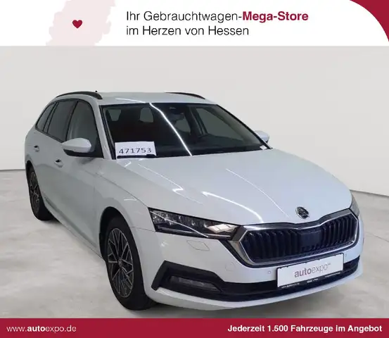 2023 Skoda Octavia in White for sale