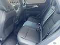 Renault Austral 1.3 TCe 160 Esprit Alpine Wit - thumbnail 15
