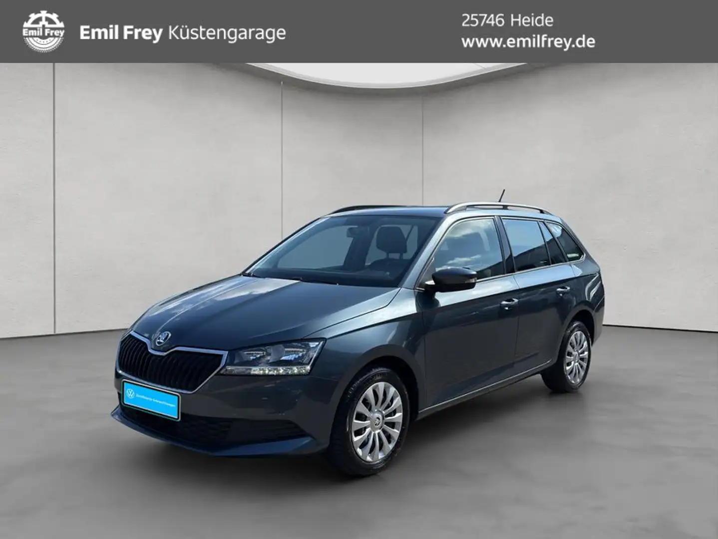 Skoda Fabia Combi Cool Plus 1.0 TSI SHZ DAB+ KLIMA Grau - 1