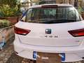 SEAT Leon Leon ST 1.6 tdi Style 115cv Bianco - thumbnail 8