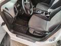 SEAT Leon Leon ST 1.6 tdi Style 115cv Bianco - thumbnail 6