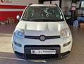Fiat Panda 1.0 Firefly Hybrid City Life  5 Posti Blanc - thumbnail 5