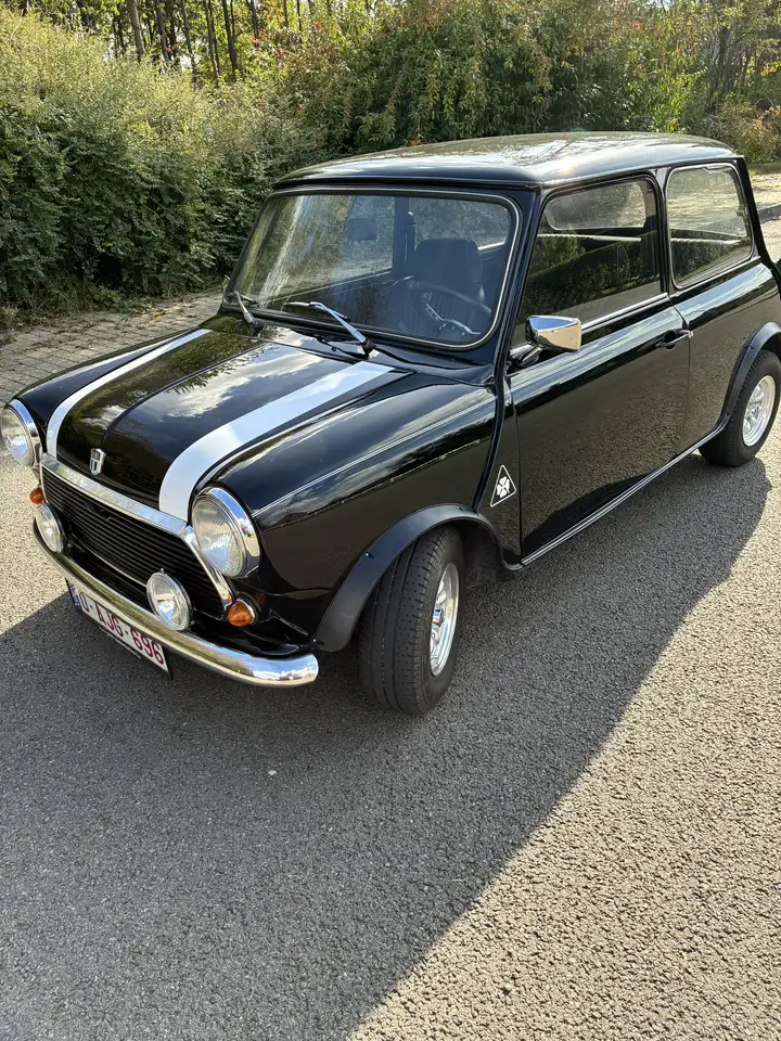 MINI 1000, foto 2