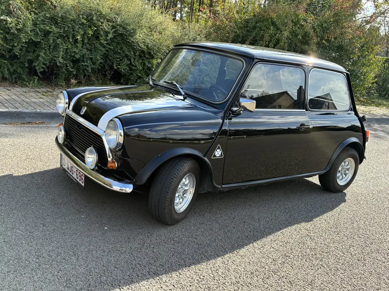 MINI 1000, foto 4