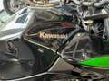 Kawasaki Z 500 2023 Verde - thumbnail 5