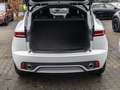 Jaguar E-Pace D150 AWD R-DYNAMIC NAVI KLIMA BLACK-PACK Weiß - thumbnail 8