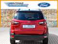 Ford EcoSport Active 1.0+WINTER-PAKET+TEMPOMAT+KAMERA Red - thumbnail 5