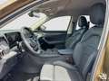 Skoda Kodiaq 2.0 SELECTION LEDER AHK 360°CAM LM18 NAVI Auriu - thumbnail 12