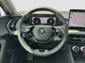 Skoda Kodiaq 2.0 SELECTION LEDER AHK 360°CAM LM18 NAVI Auriu - thumbnail 16