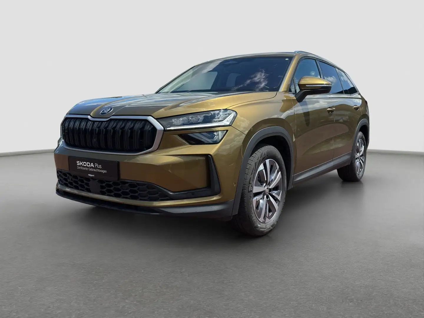 Skoda Kodiaq 2.0 SELECTION LEDER AHK 360°CAM LM18 NAVI Gold - 2