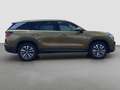 Skoda Kodiaq 2.0 SELECTION LEDER AHK 360°CAM LM18 NAVI Auriu - thumbnail 8