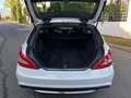 Mercedes-Benz CLS 350 CLS Shooting Brake 350CDI BE (9.75) Aut. Blanco - thumbnail 5
