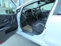 Kia Ceed / cee'd cee'd 1,6 CRDi ISG GT-Line Weiß - thumbnail 8