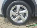 Audi Q3 Advance 35 TFSi LED App AHK Standheizung Bianco - thumbnail 15