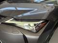 Lexus UX 250h Business Navigation 4WD Gris - thumbnail 19