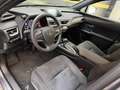 Lexus UX 250h Business Navigation 4WD Gris - thumbnail 30