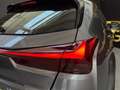 Lexus UX 250h Business Navigation 4WD Gris - thumbnail 18